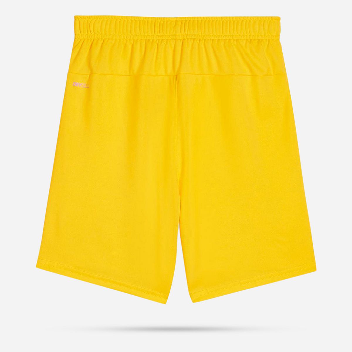 AN308415 Teamgoal Shorts Junior