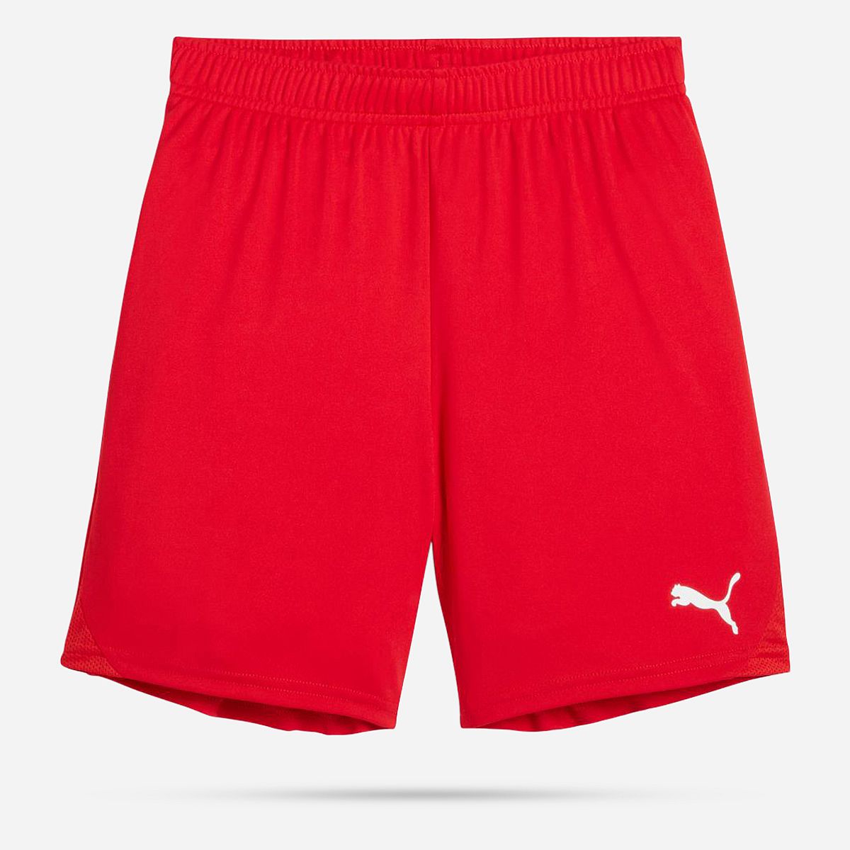 AN308425 Teamgoal Shorts Junior