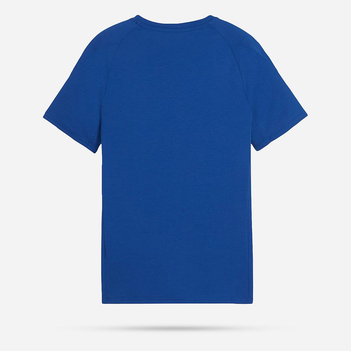 AN308265 Evostripe Tee Junior