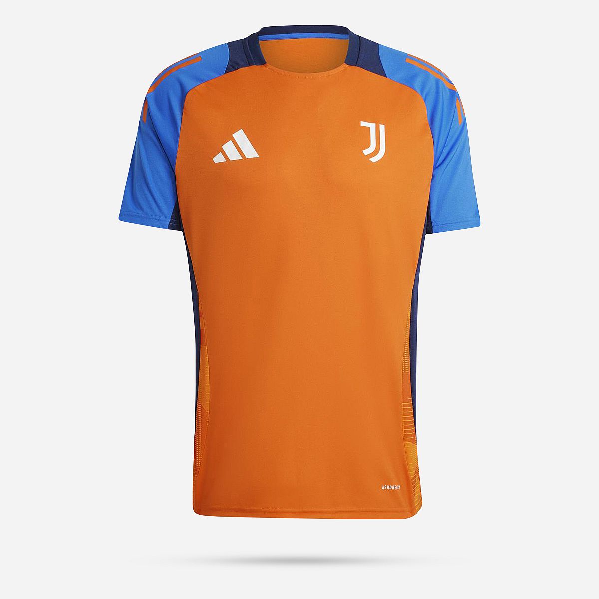 AN318958 Juventus 2024/2025 Training Shirt Senior