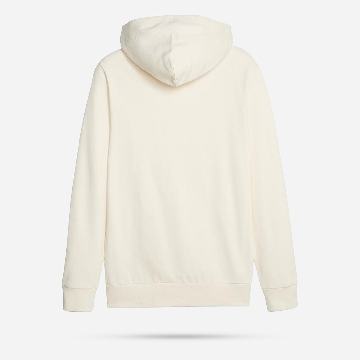 AN316113 Better Essentials Hoodie Fl