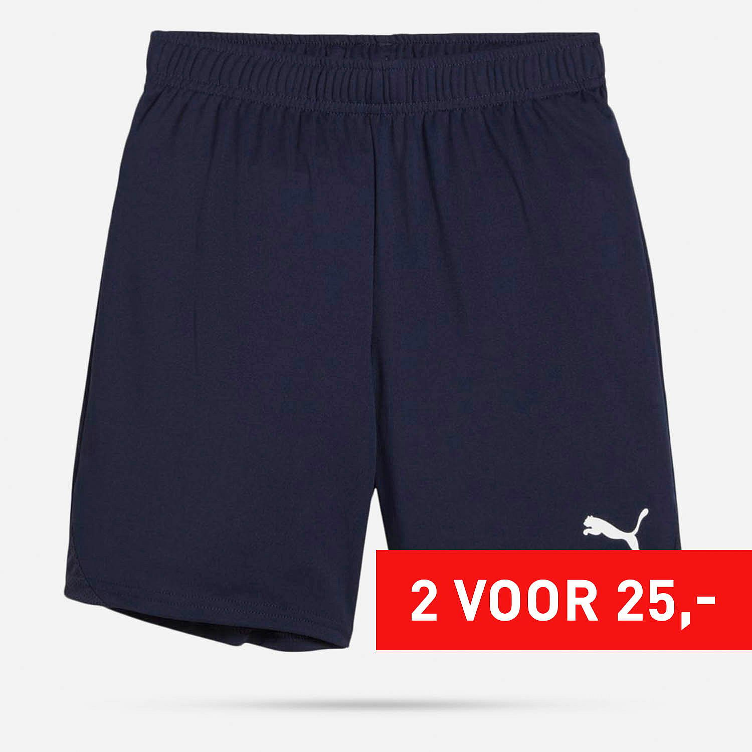 AN308403 Teamgoal Shorts Junior