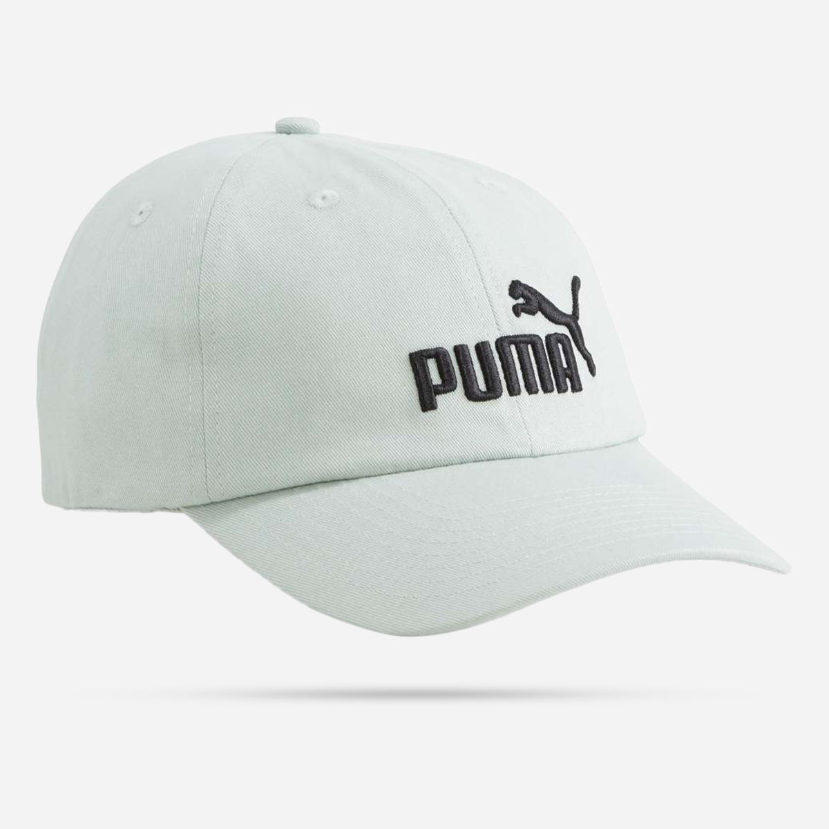 Gray store puma hat