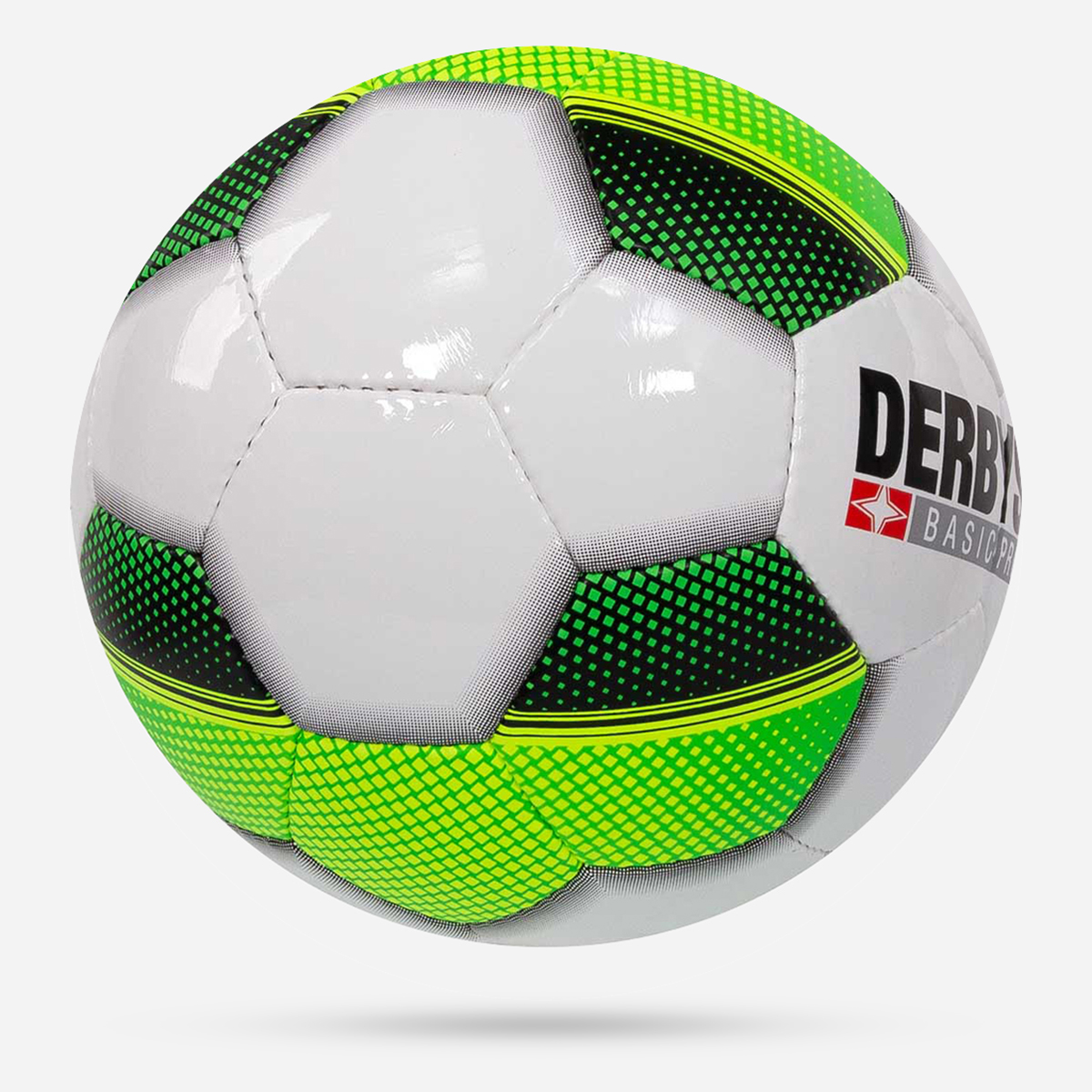 Democratie nachtmerrie apotheker Derbystar Futsal Basic Pro TT | 4 | 98671