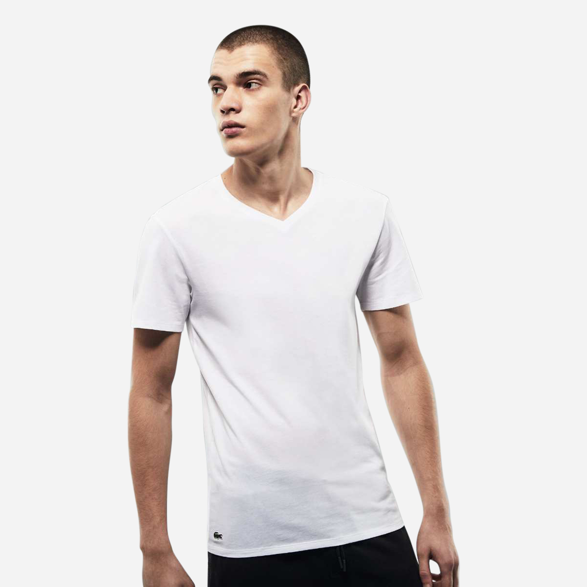 lacoste men's v neck